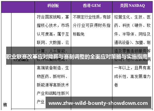 职业联赛改革应对降薪与赛制调整的全面应对策略与实施指南 职业联赛改革应对降薪与赛制调整的全面应对策略与实施指南