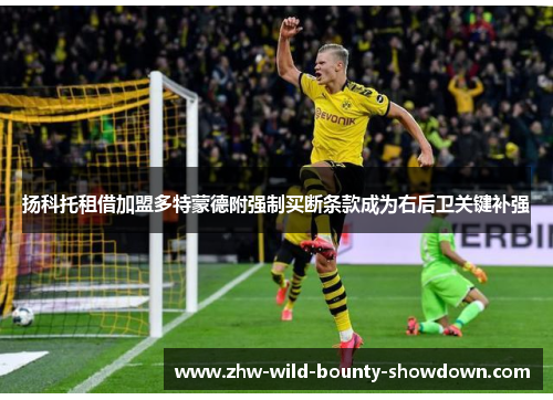 扬科托租借加盟多特蒙德附强制买断条款成为右后卫关键补强