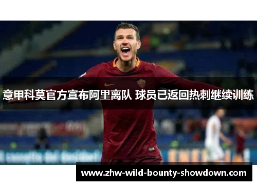 意甲科莫官方宣布阿里离队 球员已返回热刺继续训练