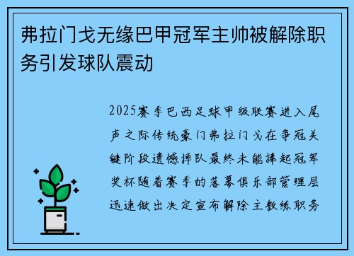 弗拉门戈无缘巴甲冠军主帅被解除职务引发球队震动 弗拉门戈无缘巴甲冠军主帅被解除职务引发球队震动